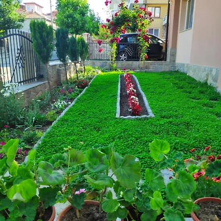 снежа/ Snezha Obsor