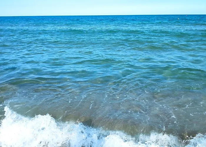 снежа/ Snezha *