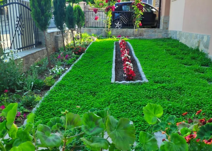 снежа/ Snezha Obsor