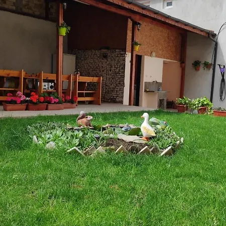 снежа/ Snezha *