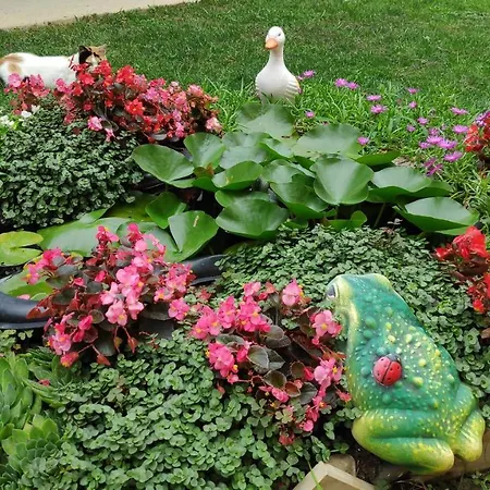 снежа/ Snezha * Obzor