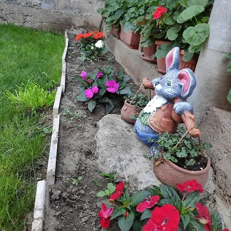 Konukevi снежа/ Snezha