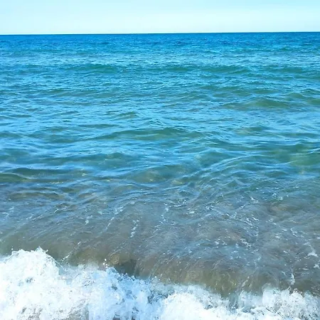 снежа/ Snezha *