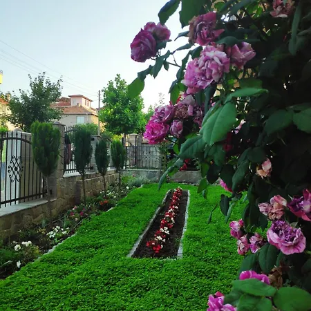 Konukevi снежа/ Snezha *