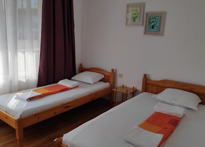 снежа/ Snezha 게스트하우스 *