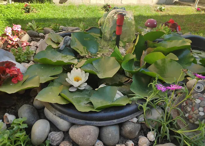 снежа/ Snezha Penzion *